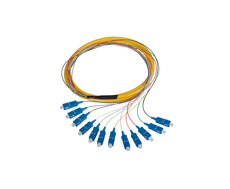 束狀尾纖 束狀尾纖